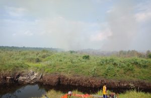 7 Hektar Lahan Gambut Terbakar, Tim Gabungan Kerja Keras Jinakan Api