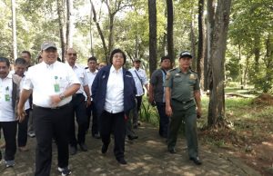 Menteri LHK Kroscek 50 Ribu Hektar Lahan Hutan Sosial di Sumsel
