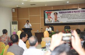 Pemprov Sumsel Cari Formula Ciptakan BUMD yang Sehat