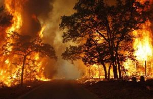 55 Kabupaten dan Kota Tetapkan Status Siaga Darurat Kekeringan