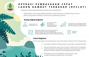 Hadapi Kemarau, BRG Serukan Operasi Cepat Pembasahan Gambut Segera Dilaksanakan