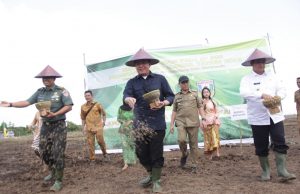 Sumsel Maksimalkan Pemanfaatan Lahan Gambut untuk Pertanian