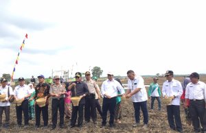 Pertanian Modern Cegah Kebakaran Lahan di Sumsel