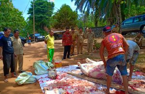 Rayakan Idul Adha, Kemenag Sumsel Kurban 12 Sapi