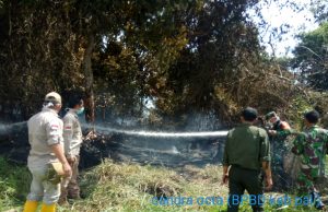Hingga September, 2.787 Titik Hotspot Karhutla Tercatat di Sumsel