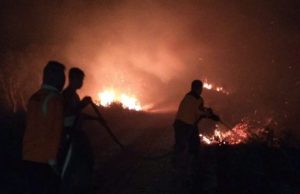 Lahan Terbakar di Ogan Ilir Milik Mantan Pejabat