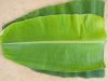 Pemkot Palembang: Daun Pisang untuk Wadah Daging Kurban