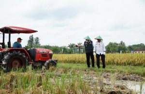 Beras Sumsel Bakal Diekspor