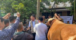 Gubernur Sumsel Serahkan “Arjuna” Sapi Kurban Presiden Prabowo ke Masjid Taqwa