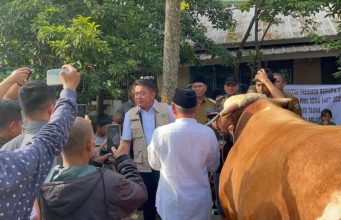 Gubernur Sumsel Serahkan “Arjuna” Sapi Kurban Presiden Prabowo ke Masjid Taqwa