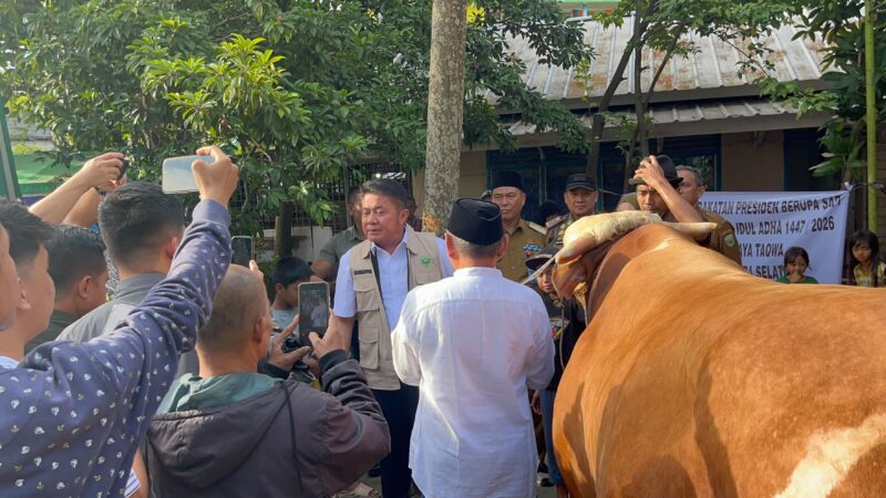 Gubernur Sumsel Serahkan “Arjuna” Sapi Kurban Presiden Prabowo ke Masjid Taqwa