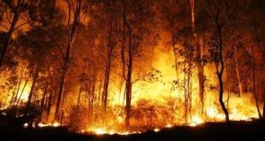 Anggaran Karhutla Sumsel Cuma Rp2 Miliar, DPRD Minta Semua Pihak Turun Tangan